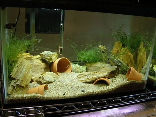 DSCN6628.jpg