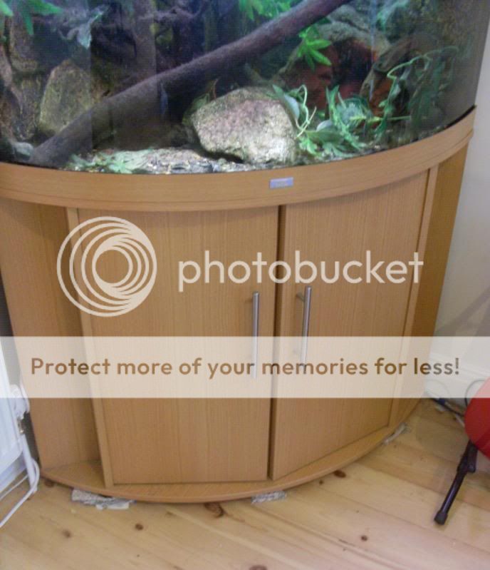 TankPic08.jpg