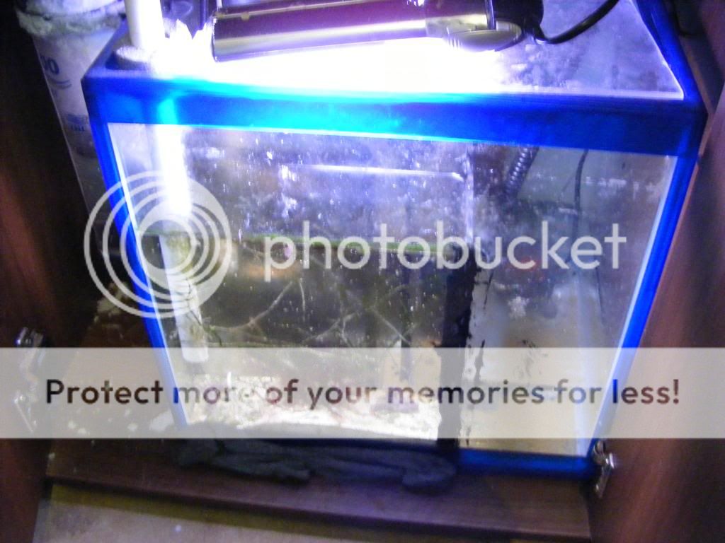 DSCF2786.jpg