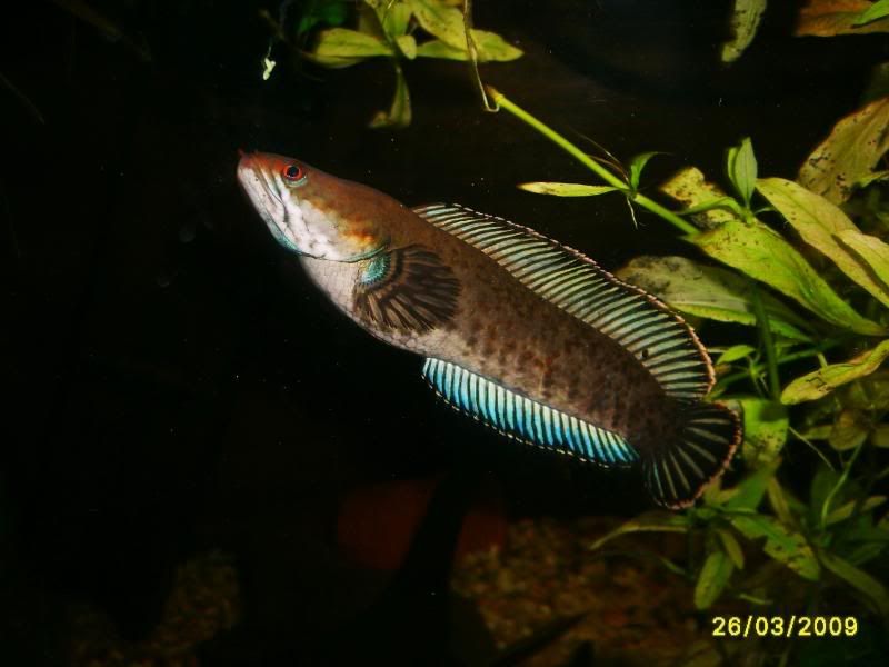 S5003069.jpg