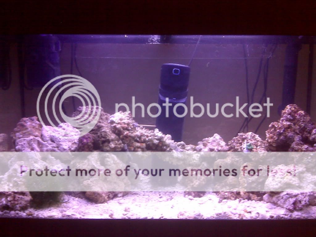 IMG00061.jpg