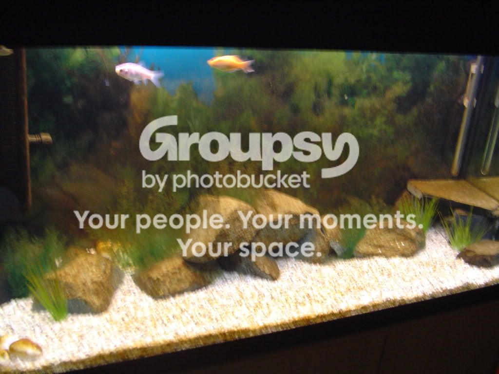 DSC00911.jpg