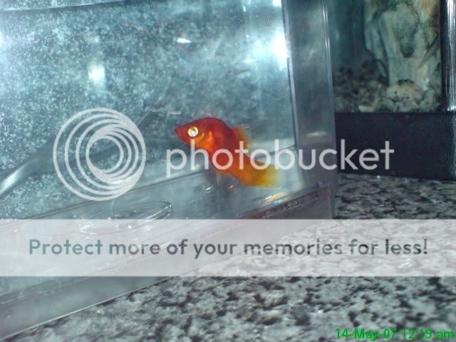 DSC00153.jpg