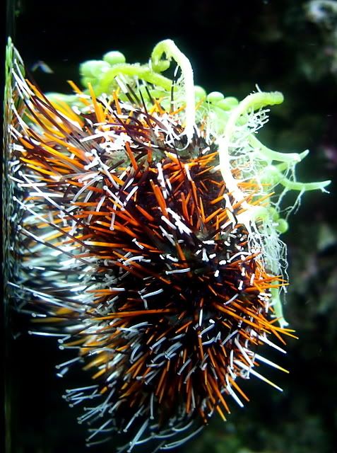 DSCF2067.jpg