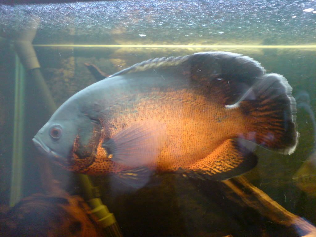 DSC01306.jpg