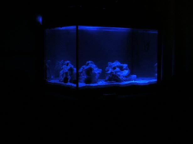 DSCN1377.jpg