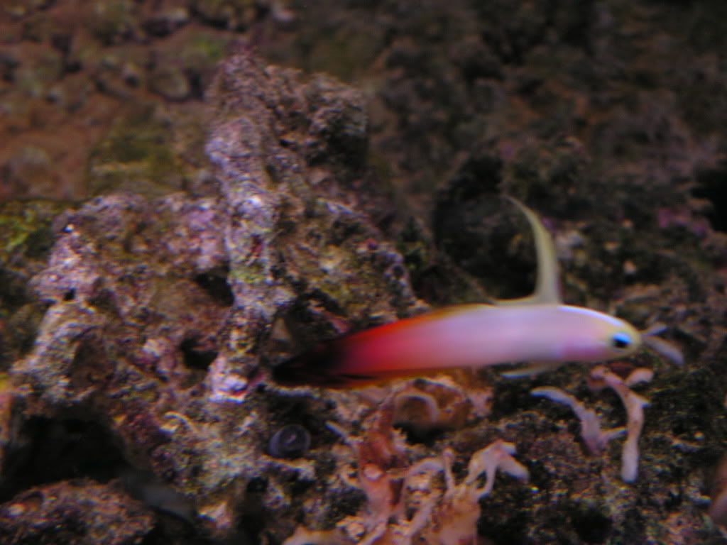 PICT0505.jpg