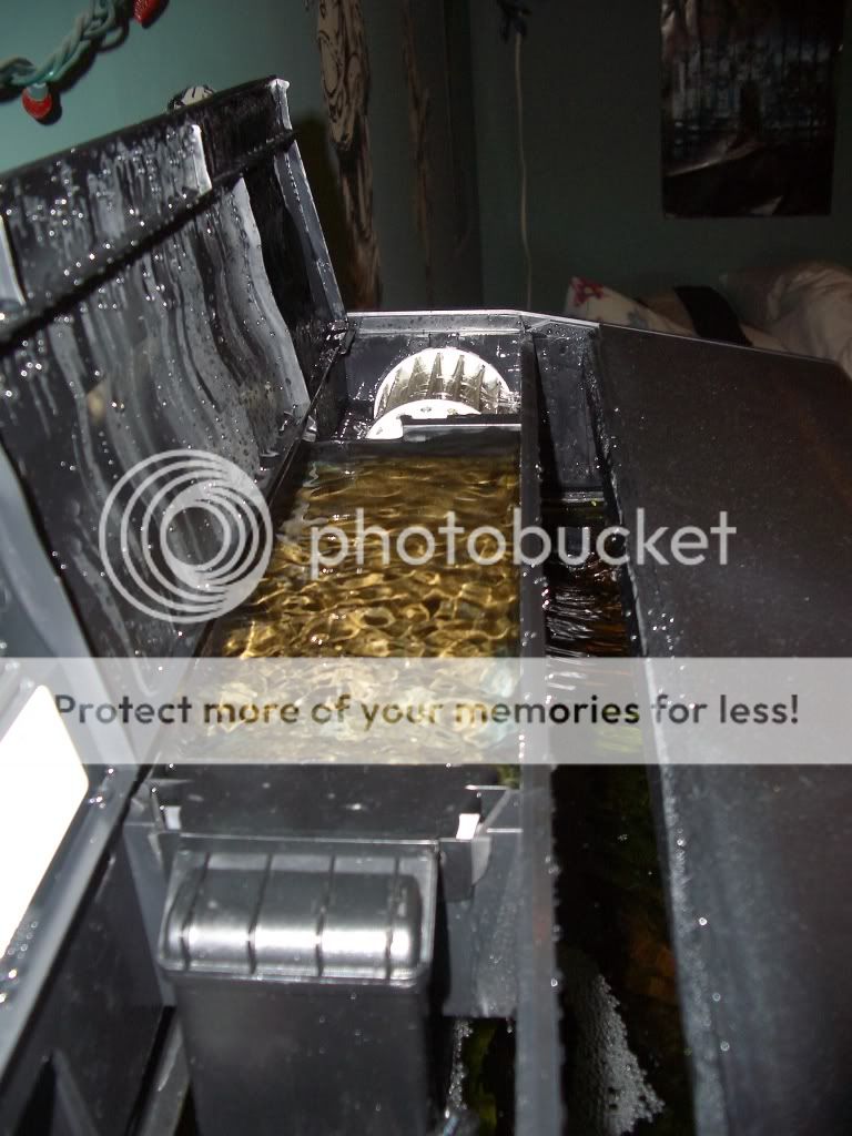 FishtankApril12006.jpg
