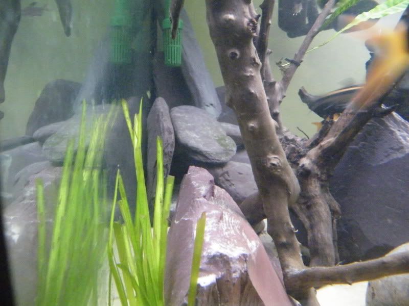 DSCF4481.jpg