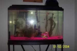 Fishfishfish-1.jpg