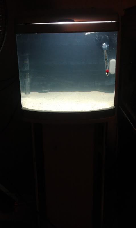 IMAG0387.jpg