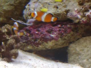 Picture060.jpg