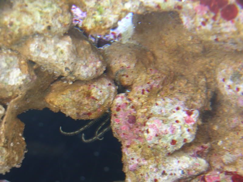 DSCN1836.jpg