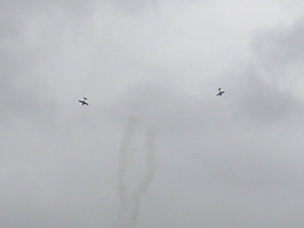waddington034.jpg
