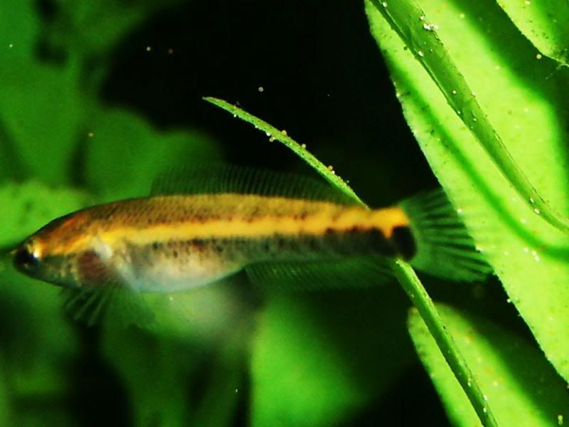 S5003013.jpg
