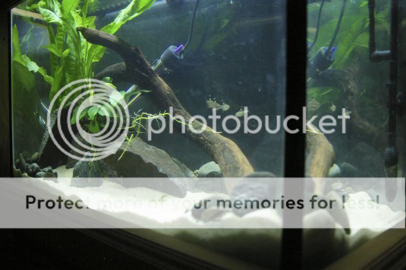IMGP4137.jpg