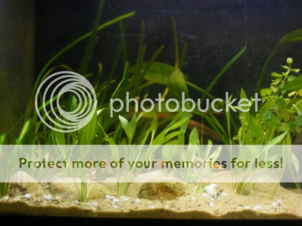 DSCF5899.jpg