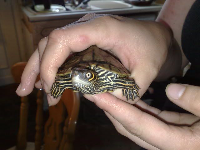 07062009330.jpg