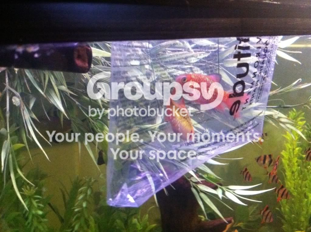 photo23.jpg