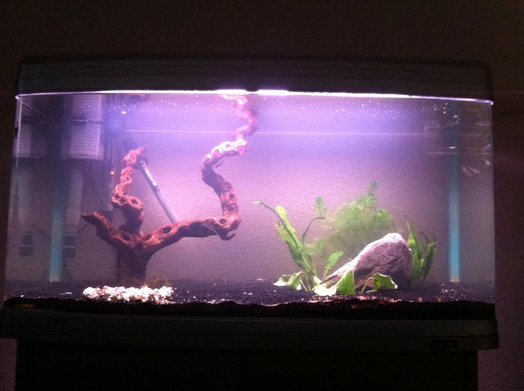 photo5.jpg