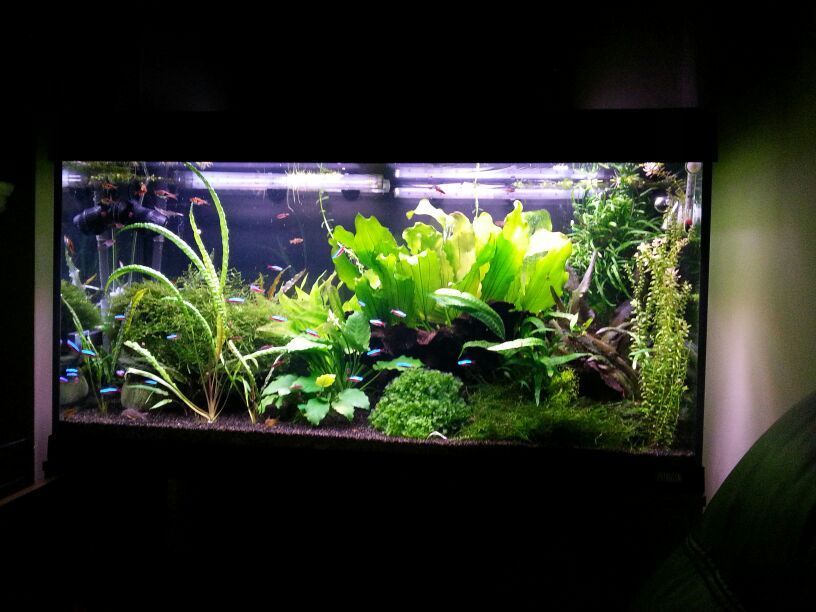 IMG-20121217-WA0004.jpg