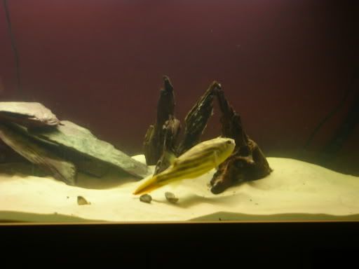 DSCN1825.jpg