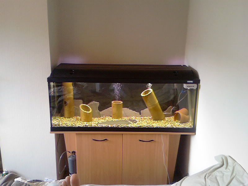 Photo-0010.jpg