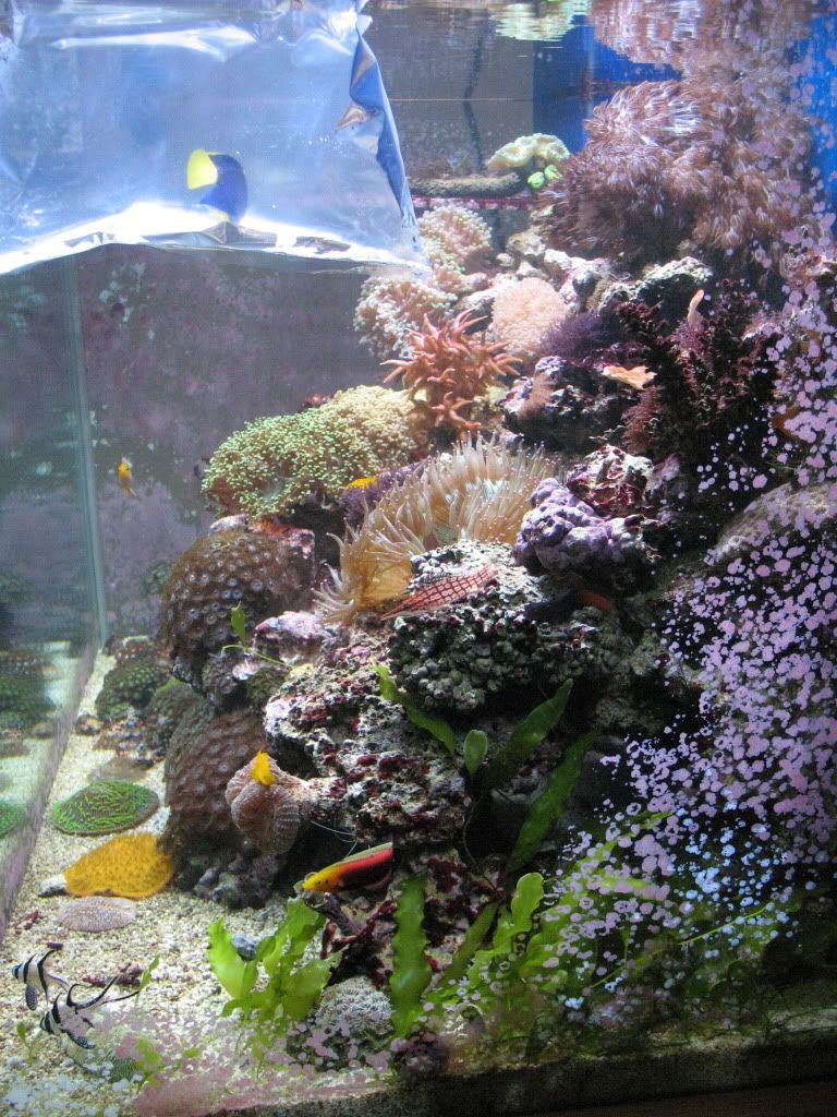 IMG_2043.jpg