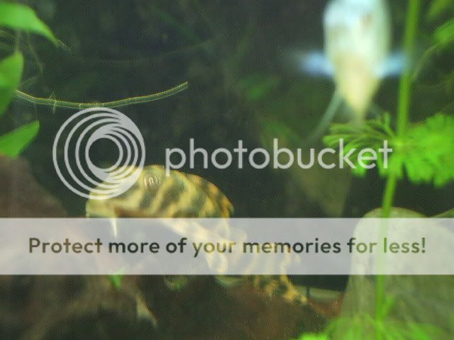 DSCF0056.jpg