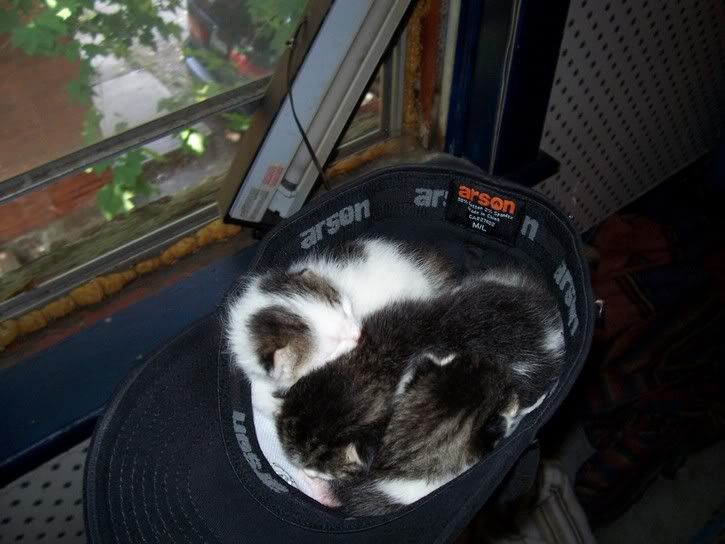 100_0035.jpg