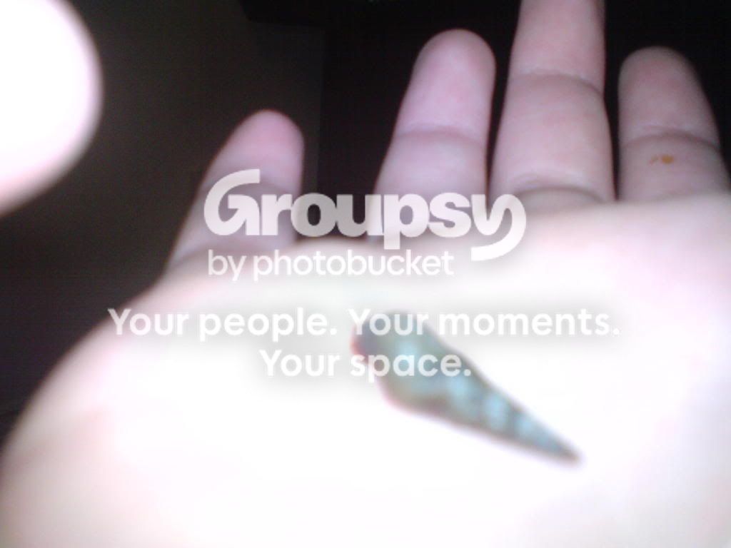 DSC01208.jpg