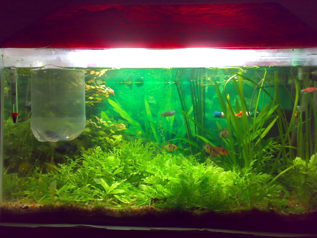 02122008429.jpg