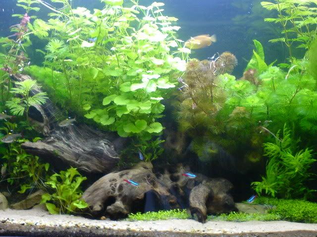 DSC01214.jpg