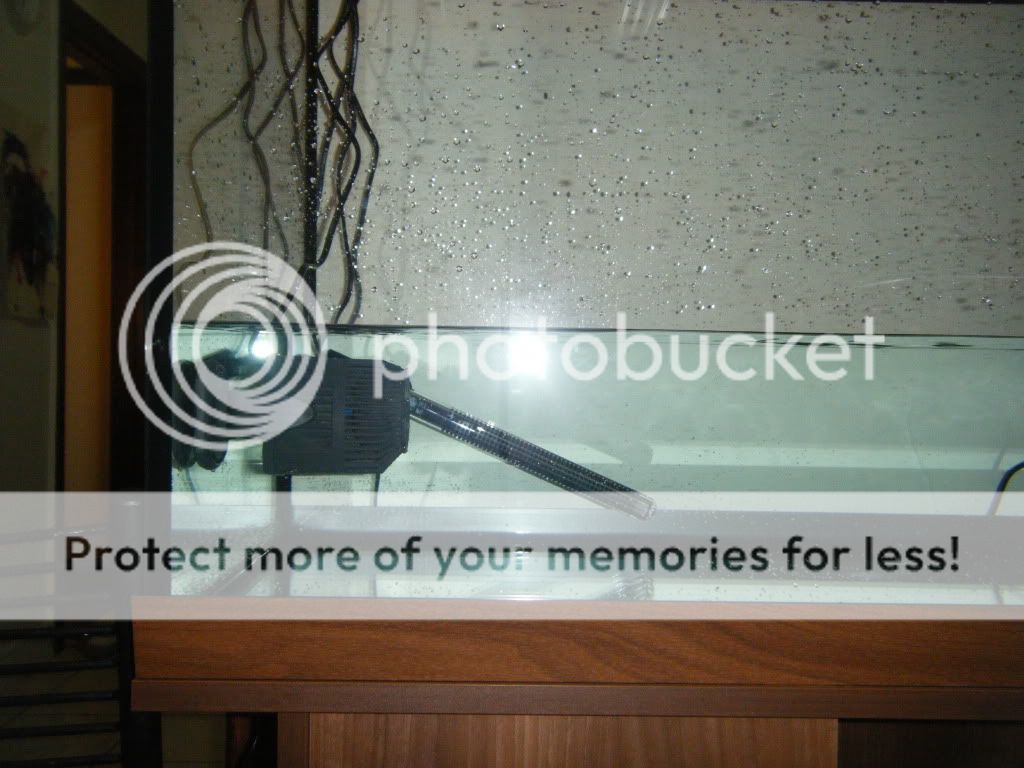 DSCF3265.jpg