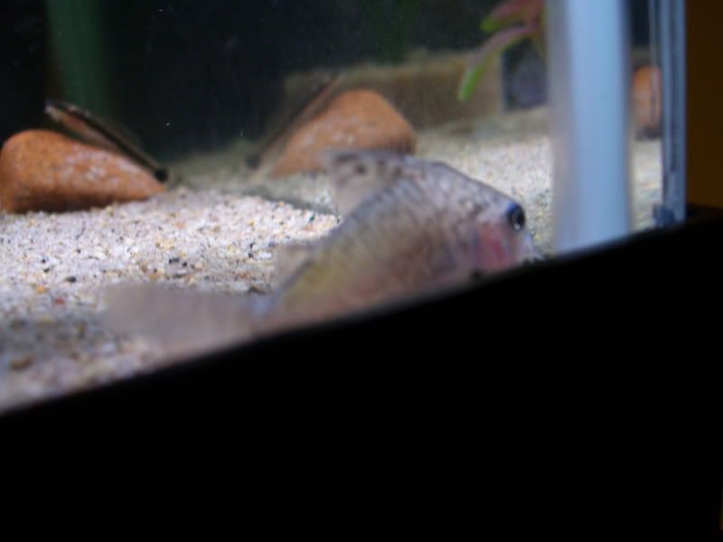 100_0063.jpg