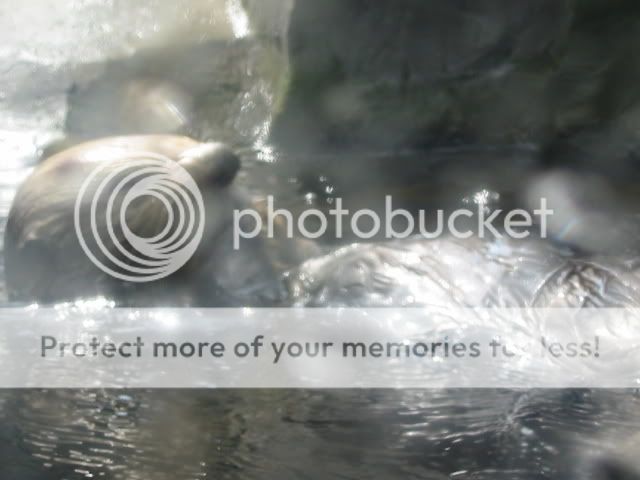 Picture028.jpg