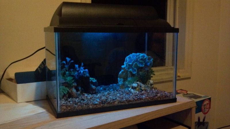 2012-10-04_20-57-52_819.jpg