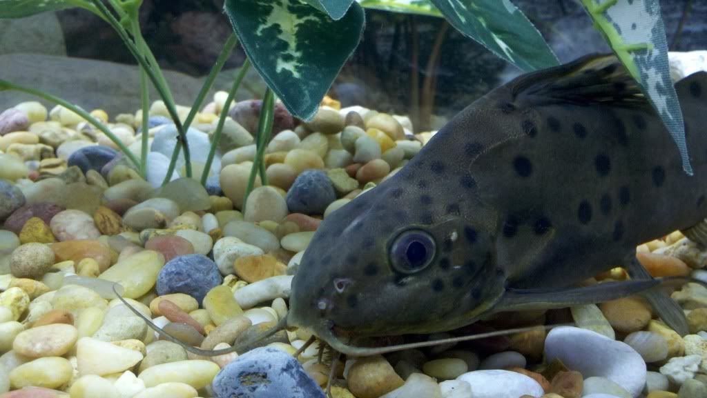 2011-06-19_19-39-27_189.jpg