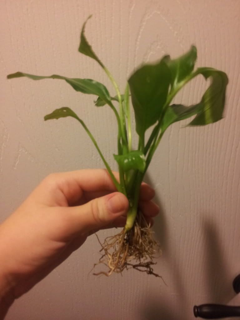 20120926_205616.jpg