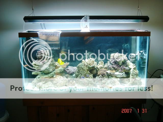 DSC01125.jpg