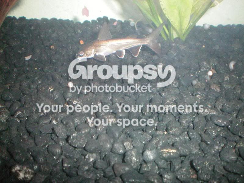 PictureorVideo008.jpg