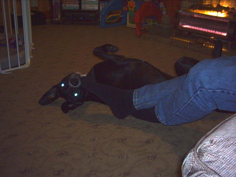 pict0038.jpg