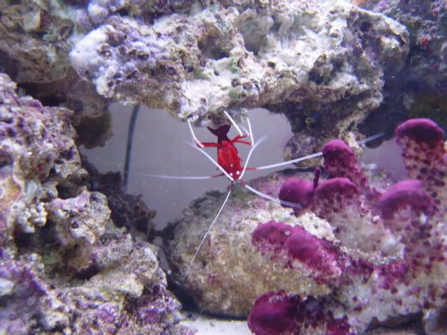 DSC01089-1.jpg