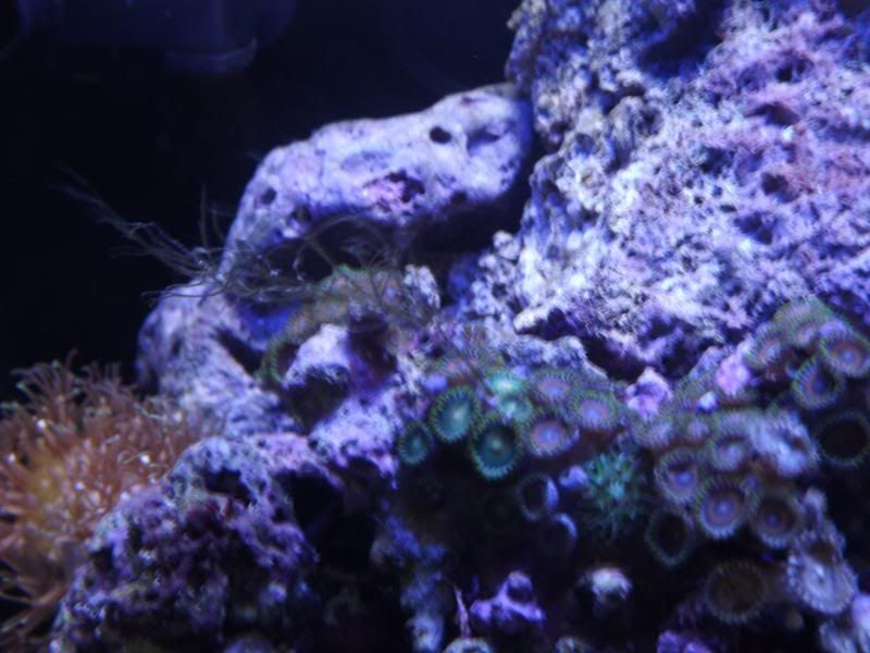 DSCF3999.jpg