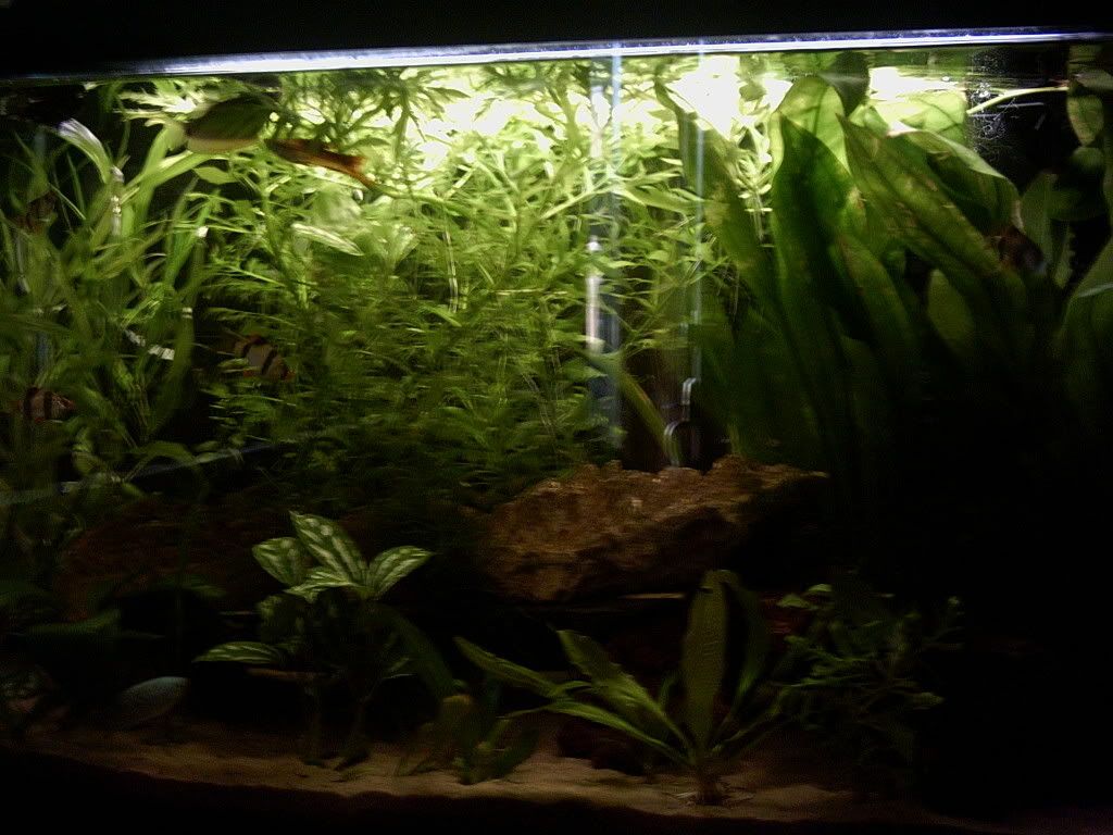 PICT0114.jpg