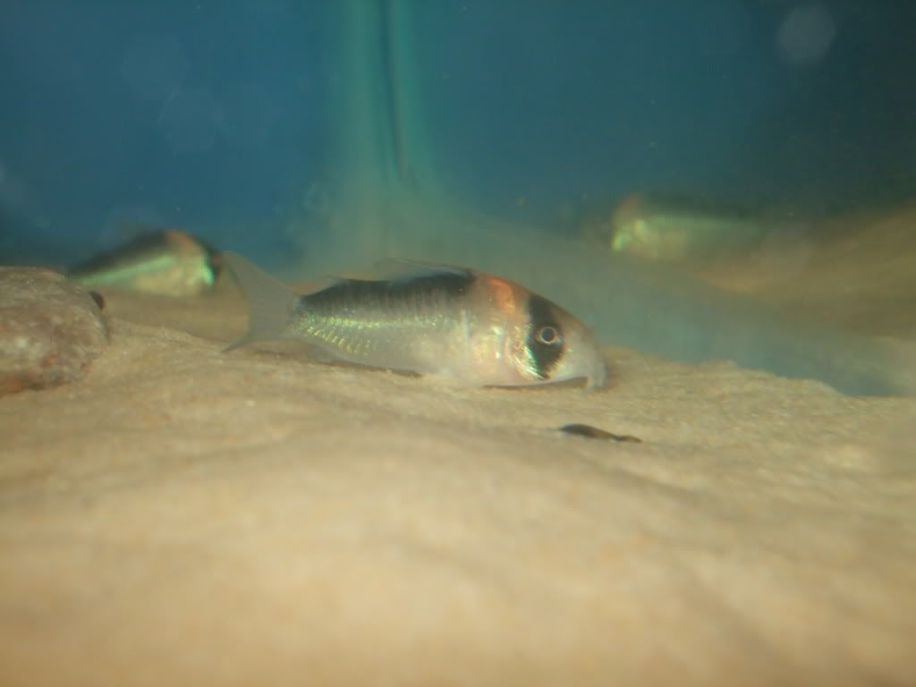 DSCF0957.jpg
