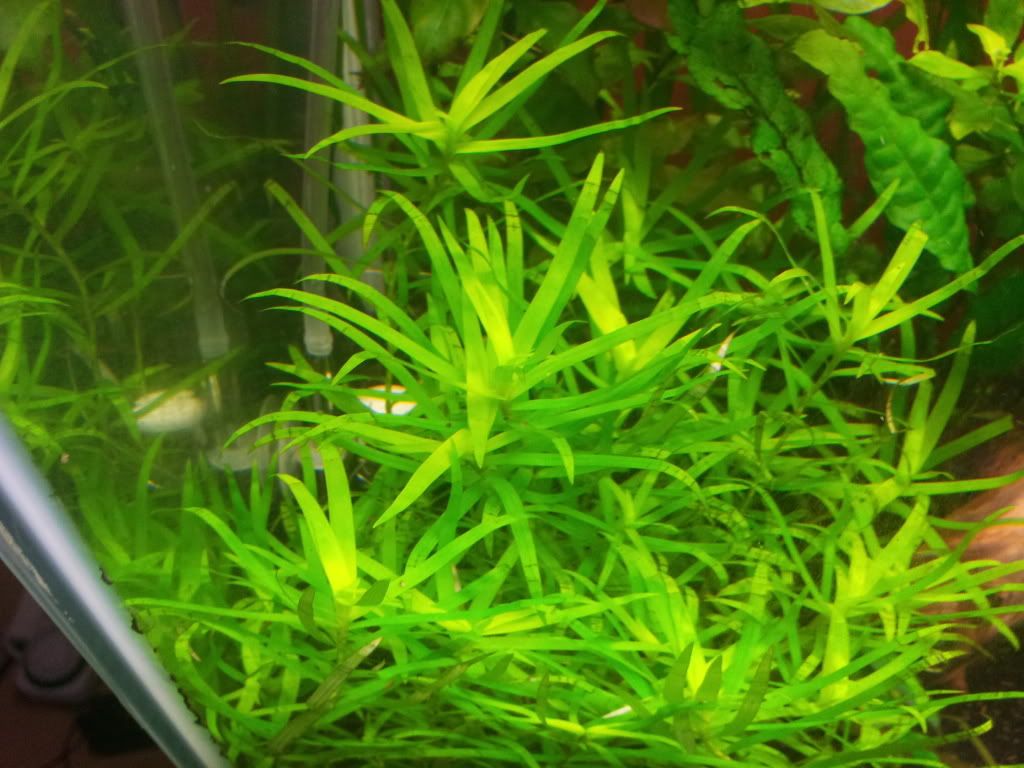 20121023_164442.jpg