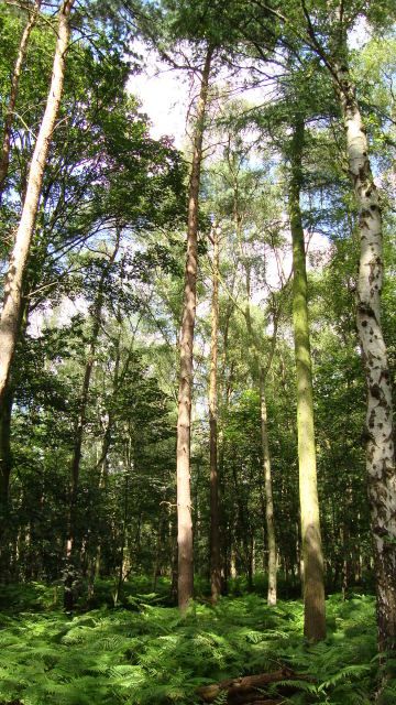 DSC01663.jpg