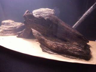 20121003_184954.jpg