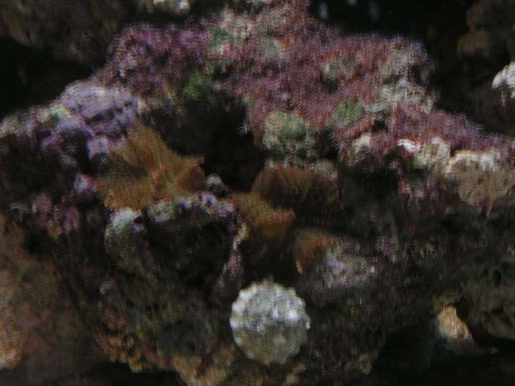 PICT1093.jpg